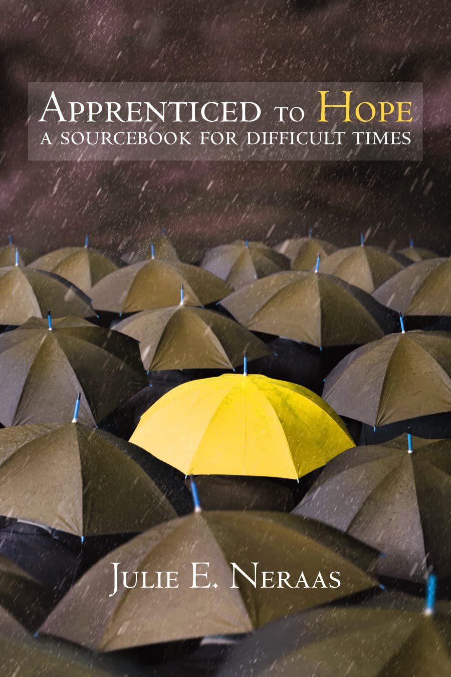 Apprenticed to Hope: A Sourcebook for Difficult Times (Living Well)