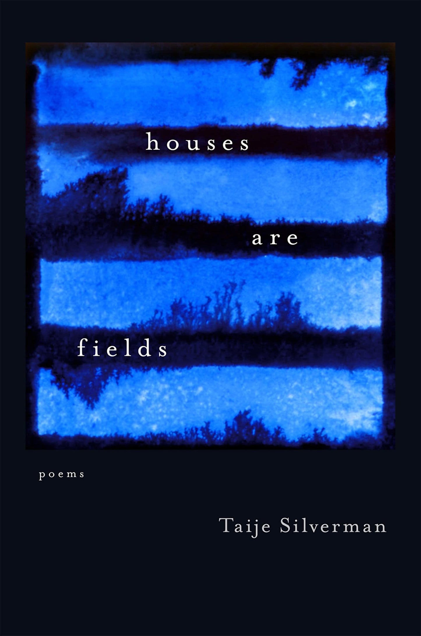 Houses Are Fields: Poems (Sea Cliff Fund)