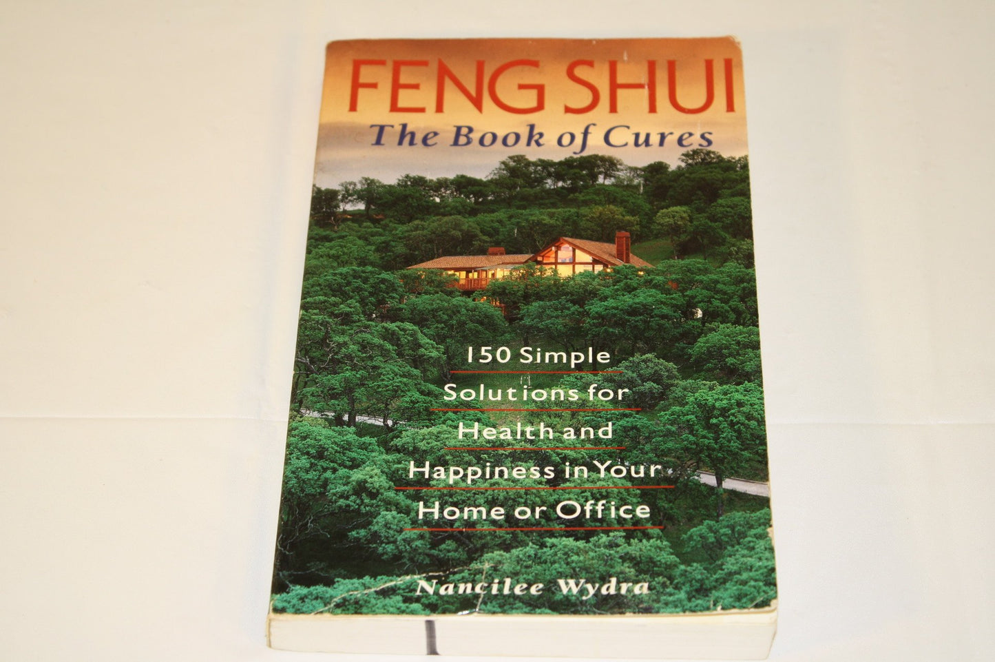 Feng Shui: The Book of Cures