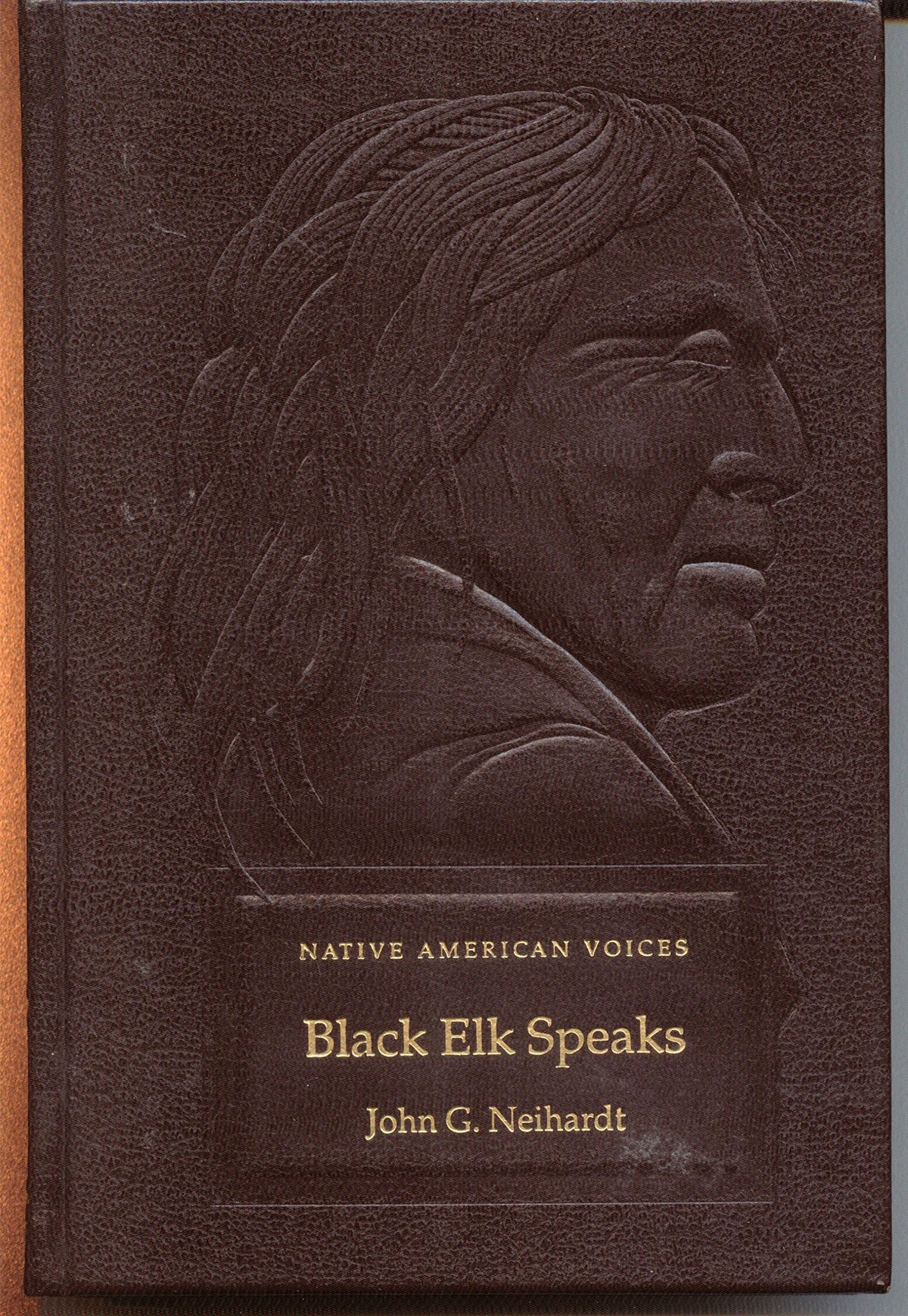 Black Elk speaks: Being the life story of a holy man of the Ogalala Sioux (Native American voices)