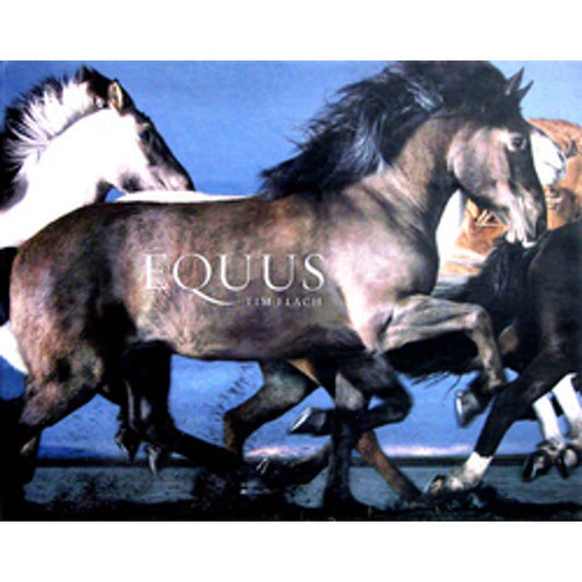 Equus - 272
