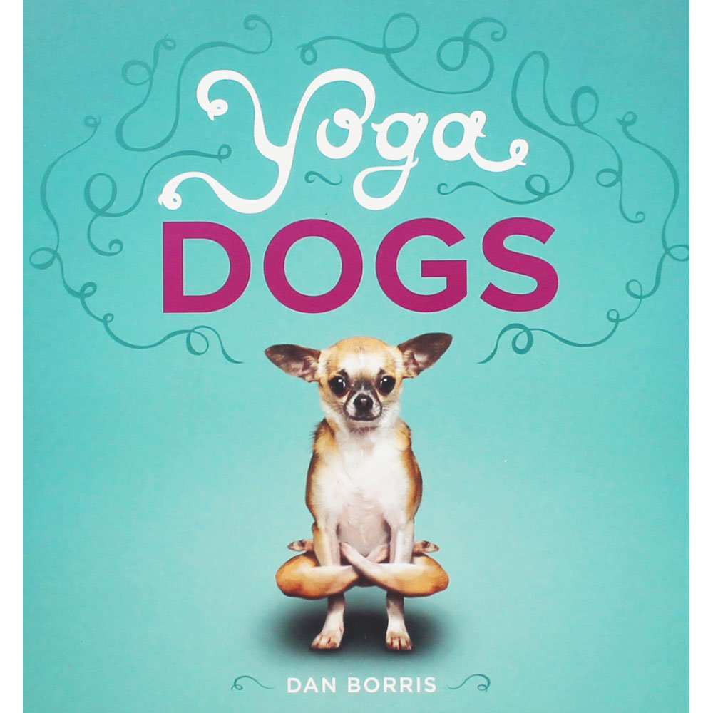 Yoga Dogs