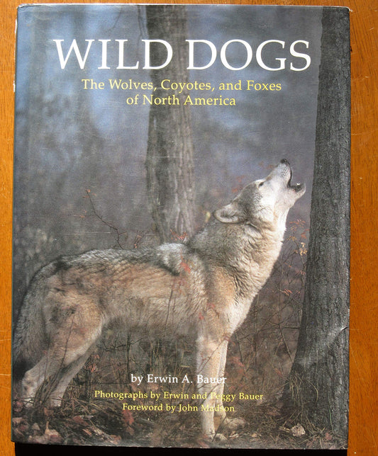 Wild Dogs: The Wolves, Coyotes, and Foxes of North America