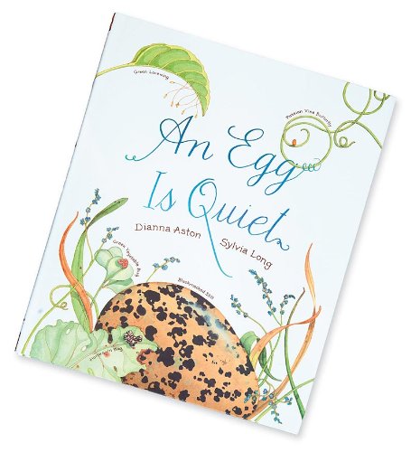 An Egg Is Quiet - 801
