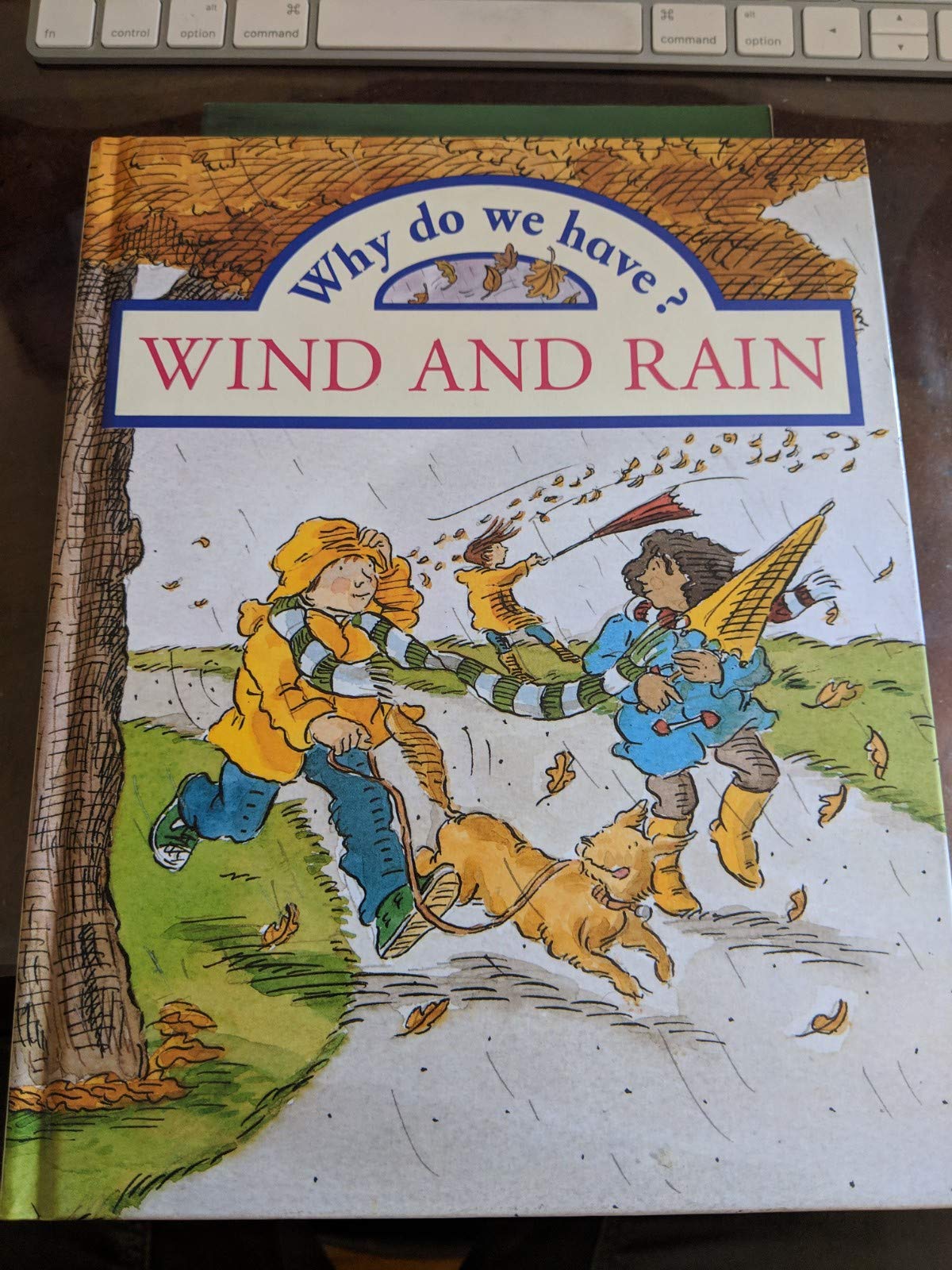 Why Do We Have? Wind and Rain (Why Do We Have? Series) - 6894