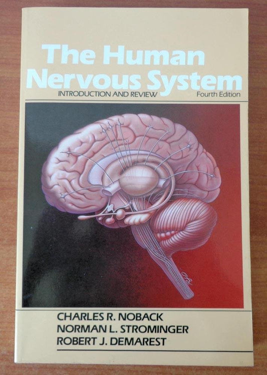 The Human Nervous System: Introduction and Review - 29