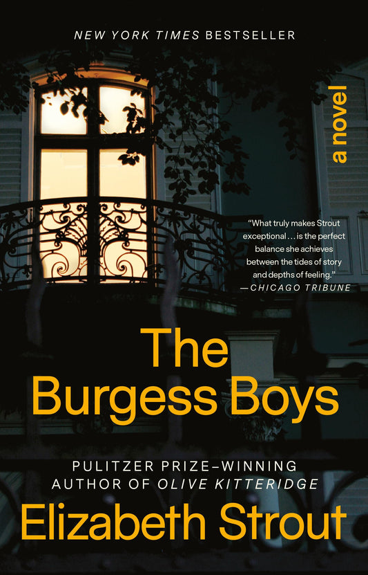 THE BURGESS BOYS: A NOVEL - 4758