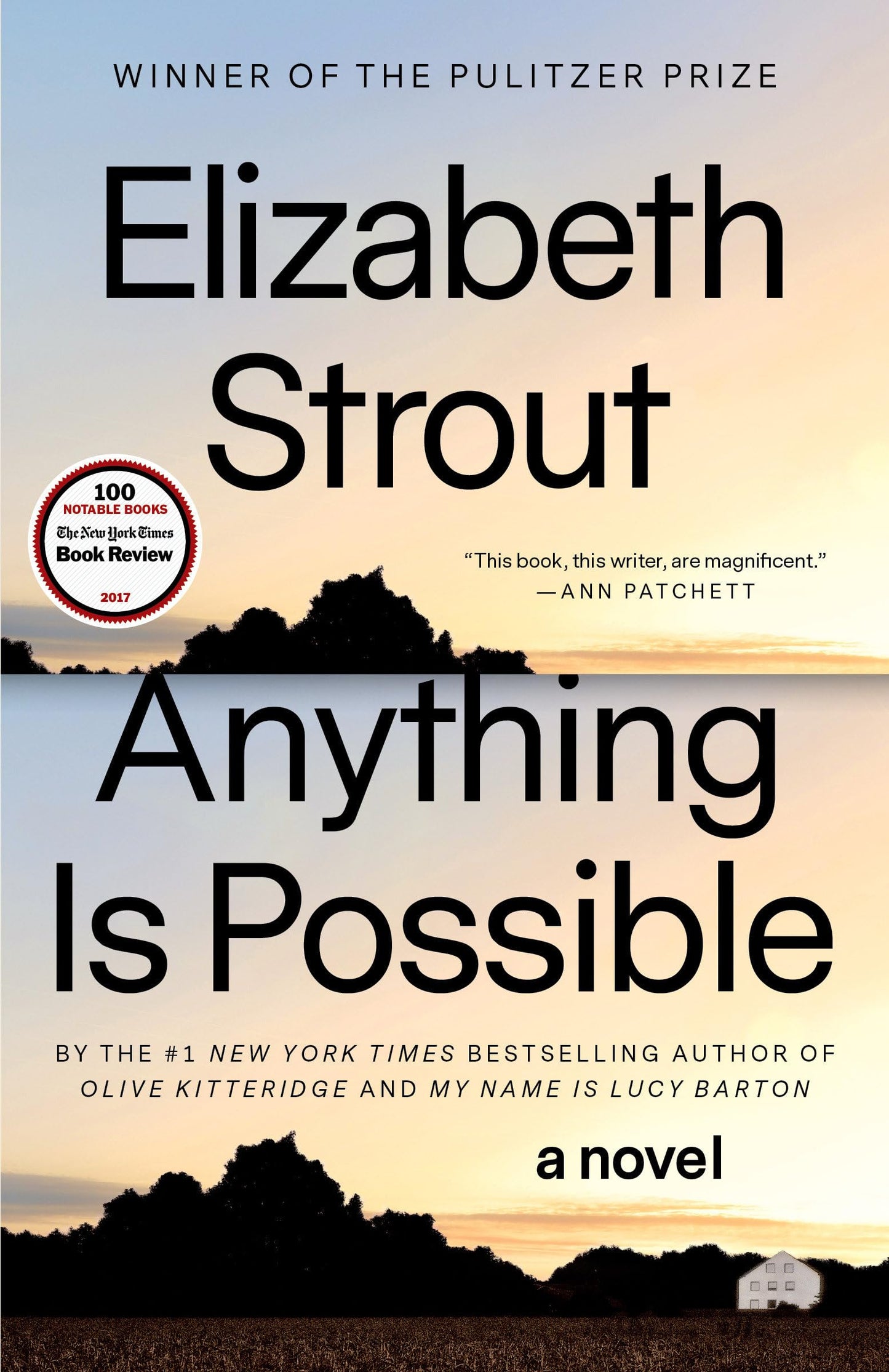 Anything Is Possible: A Novel - 589