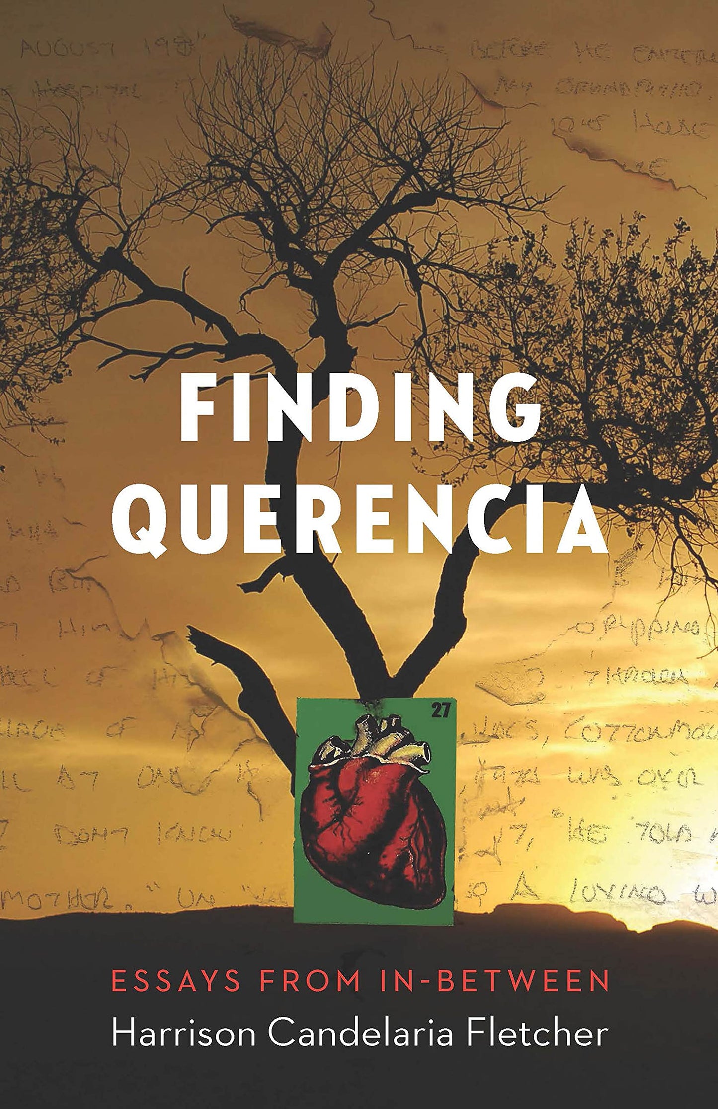 Finding Querencia: Essays from In-Between (Machete)