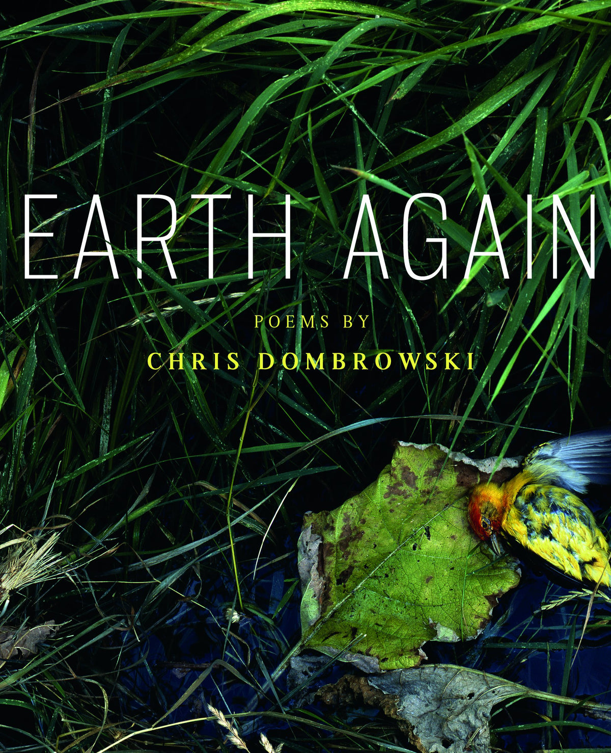 Earth Again (Made in Michigan Writer Series)