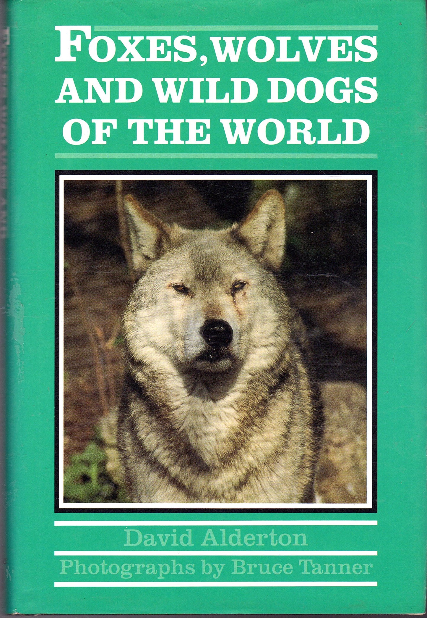 Foxes, Wolves and Wild Dogs of the World