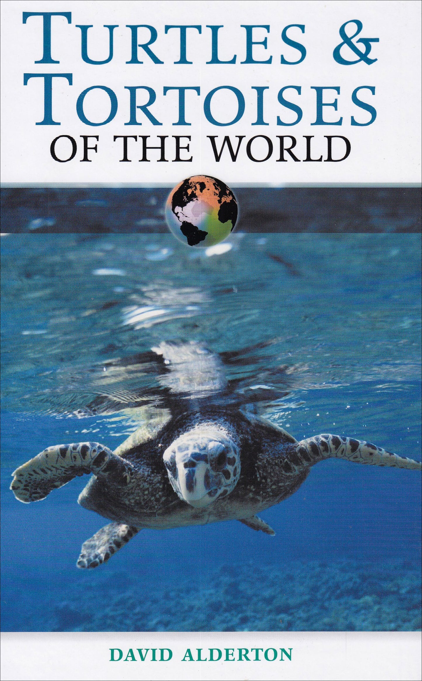 Turtles & Tortoises of the World