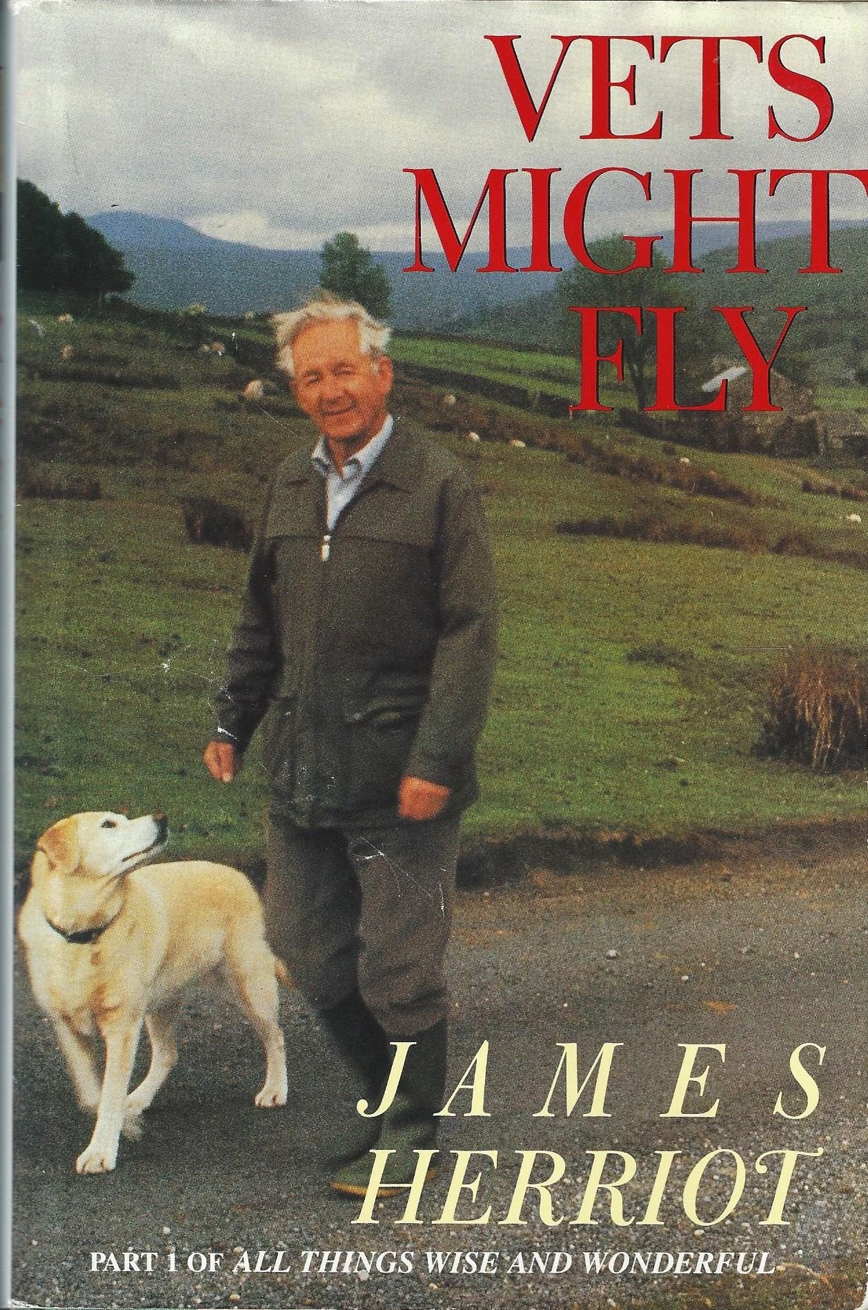 Vets Might Fly (G K Hall Large Print Book Series)