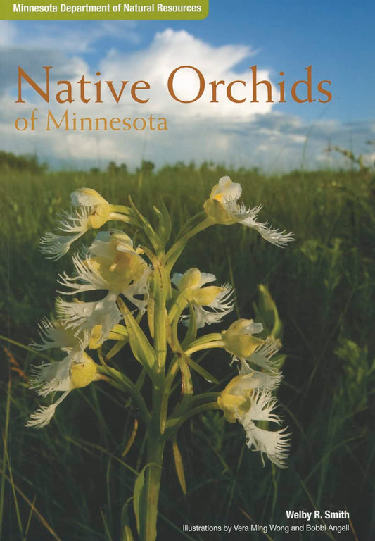 Native Orchids of Minnesota - 873