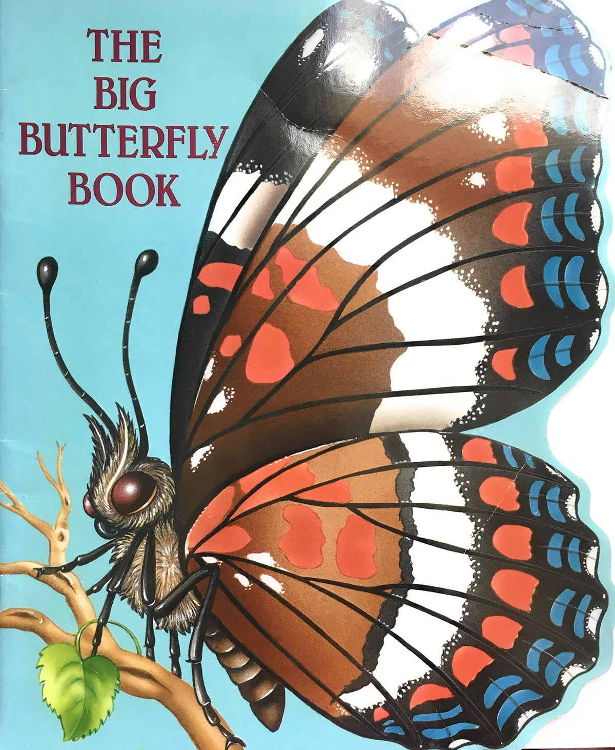 The Big Butterfly Book (A Nutshell Book)