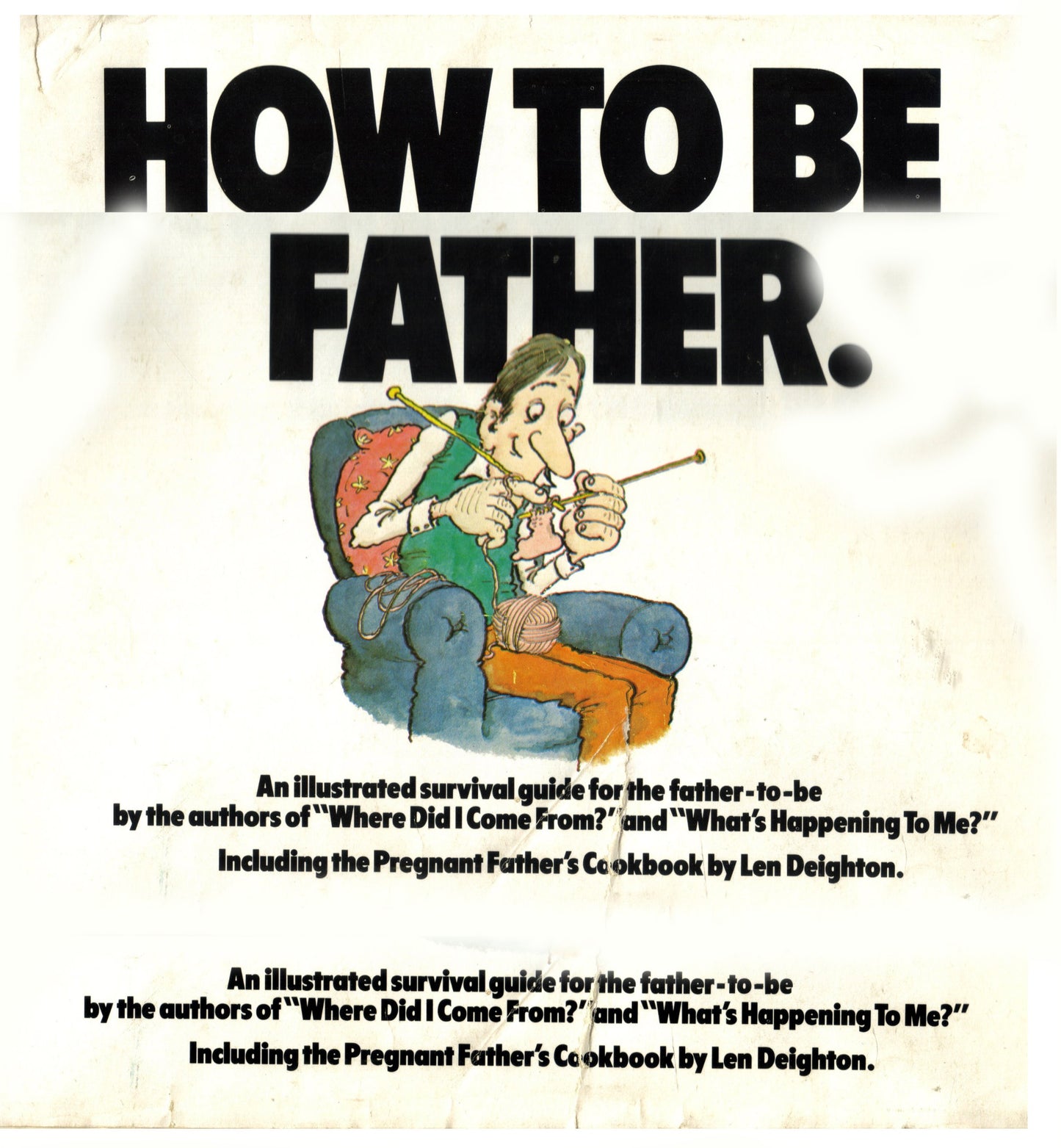 How to Be a Pregnant Father - 6211