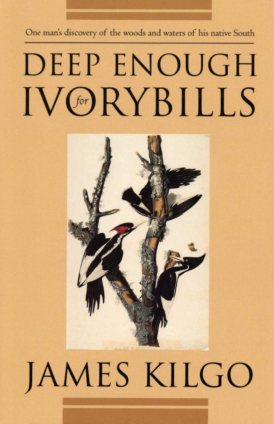 Deep Enough for Ivorybills (Brown Thrasher Books)