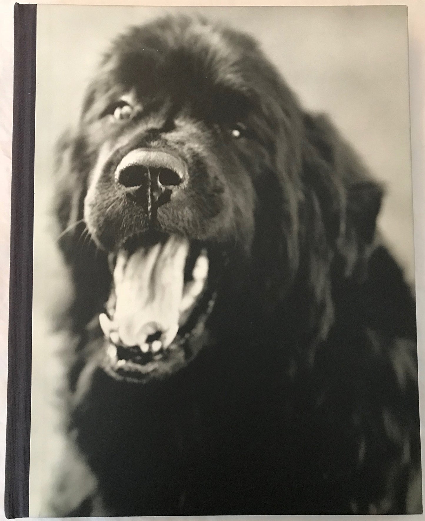 Gentle Giants: A Book of Newfoundlands