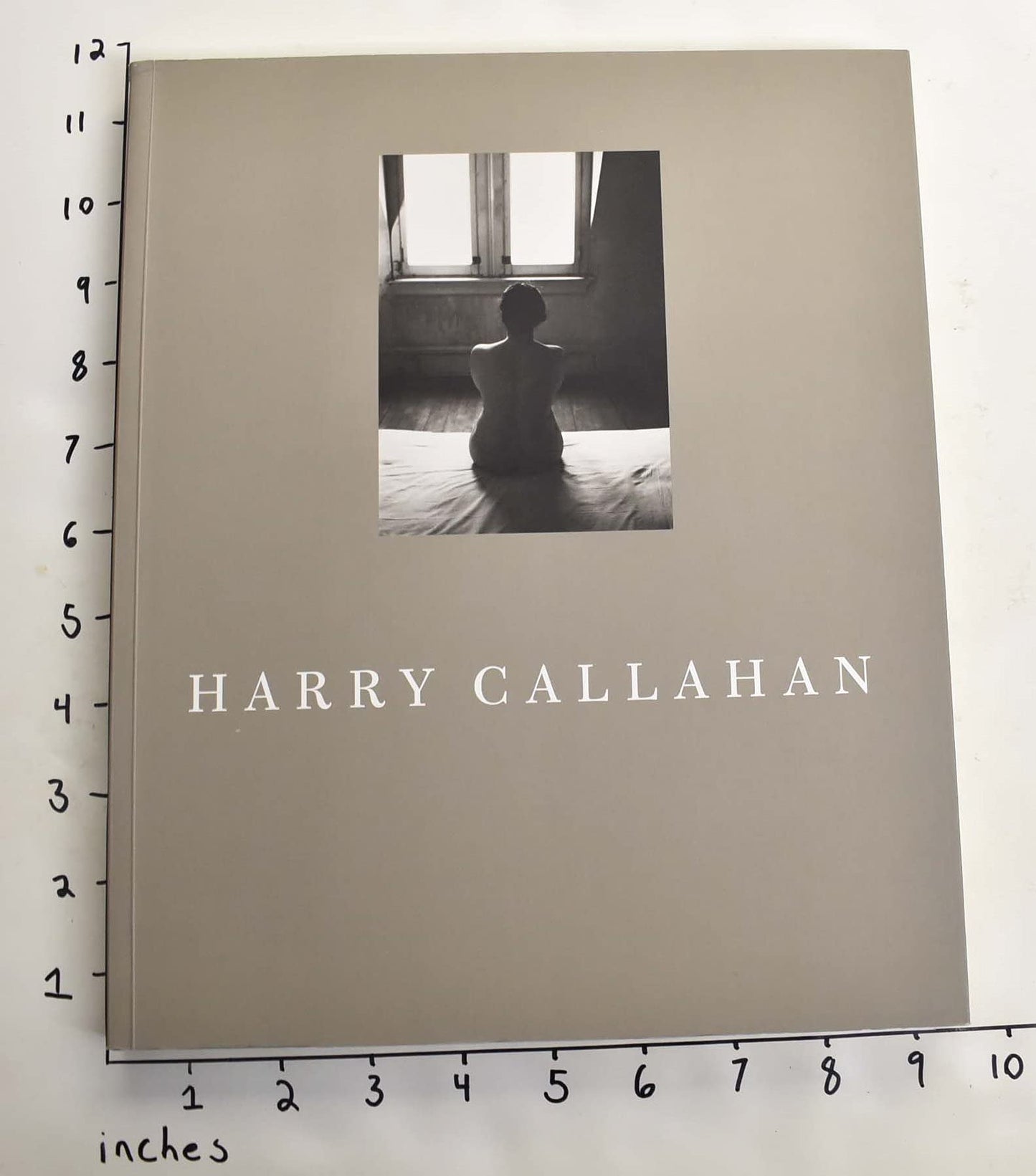 Harry Callahan : Photographs by Harry Callahan - 1313