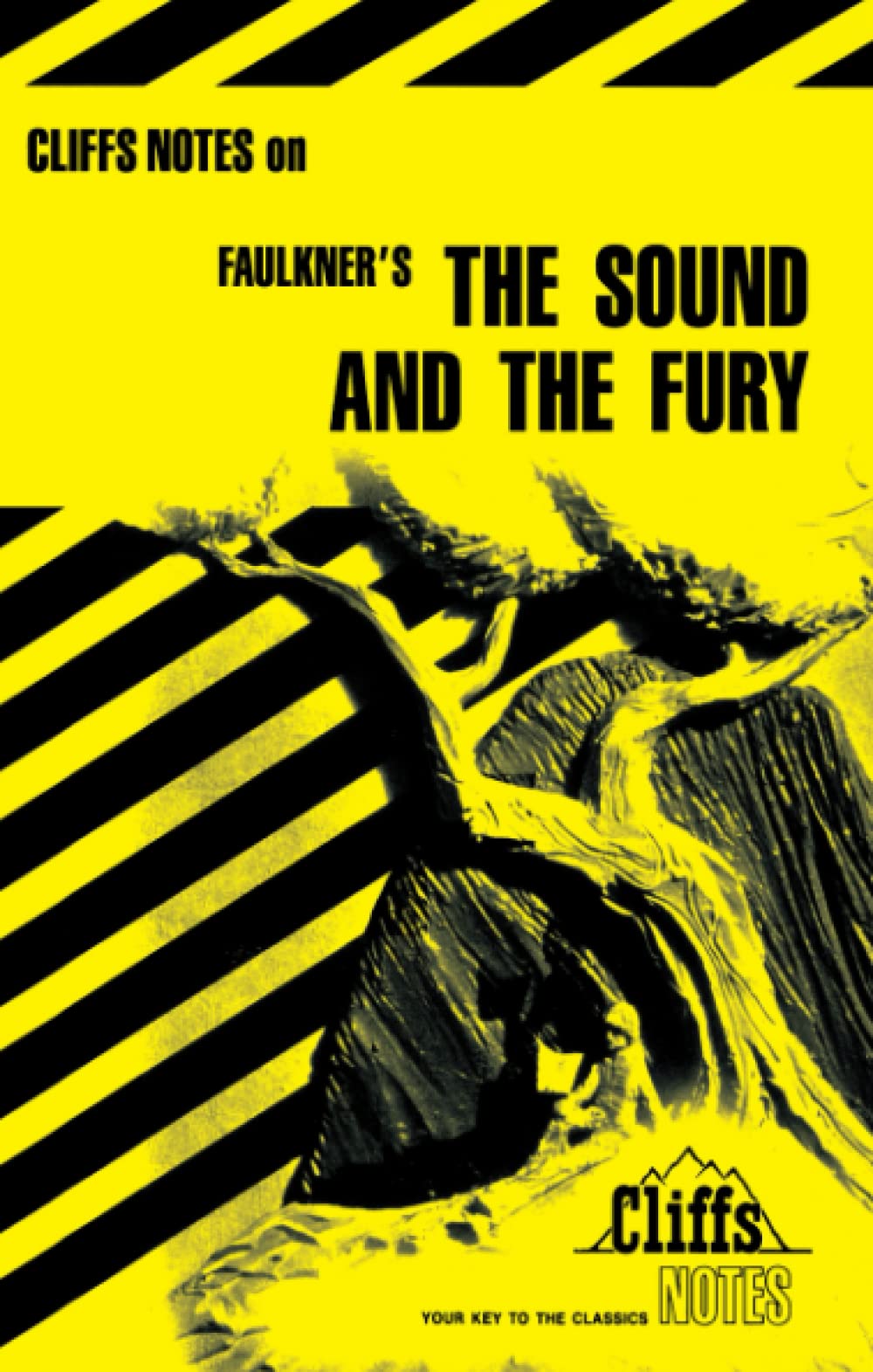 The Sound and the Fury (Cliffs Notes) (CliffsNotes on Literature) - 7737