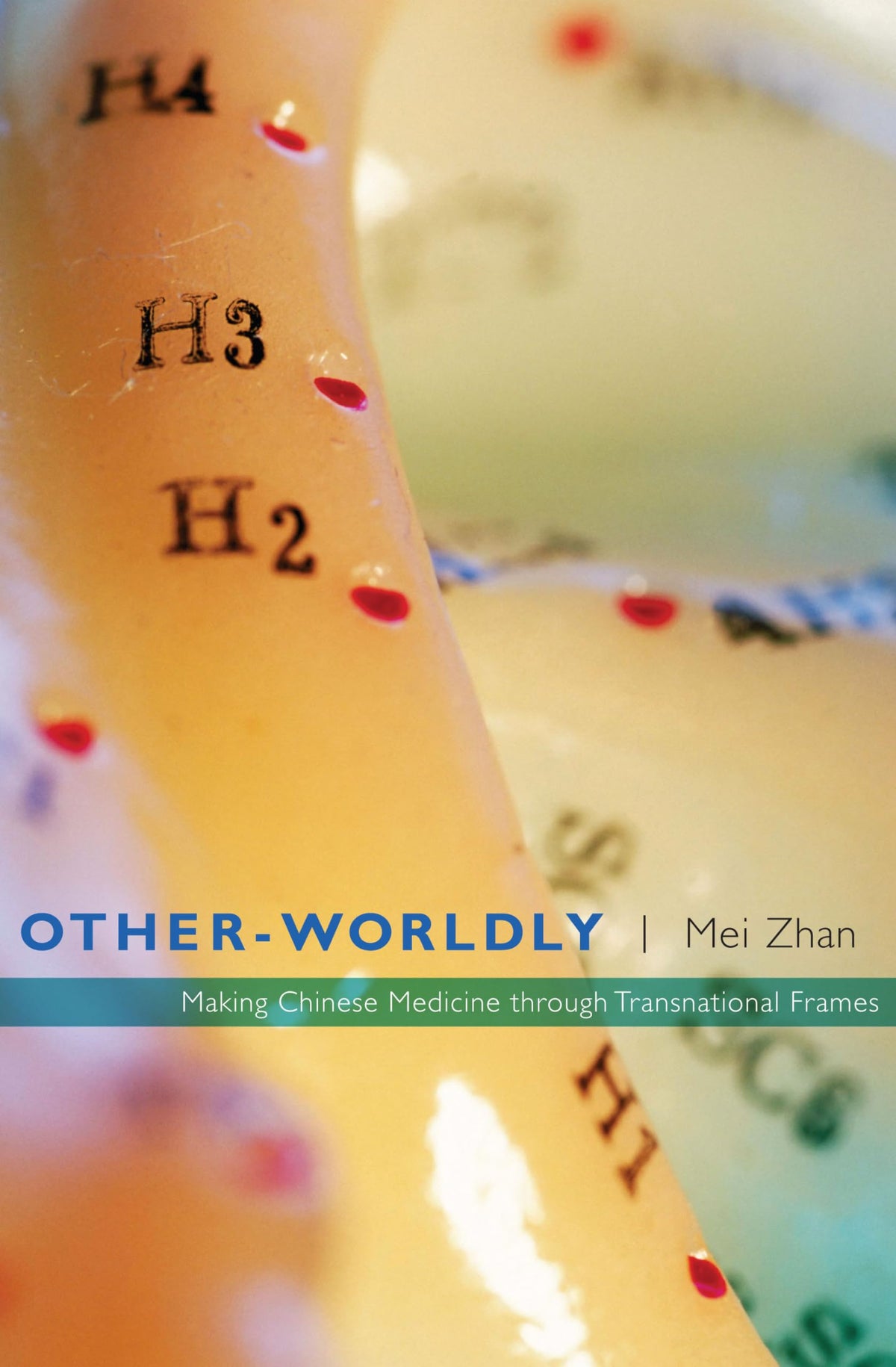 Other-Worldly: Making Chinese Medicine through Transnational Frames