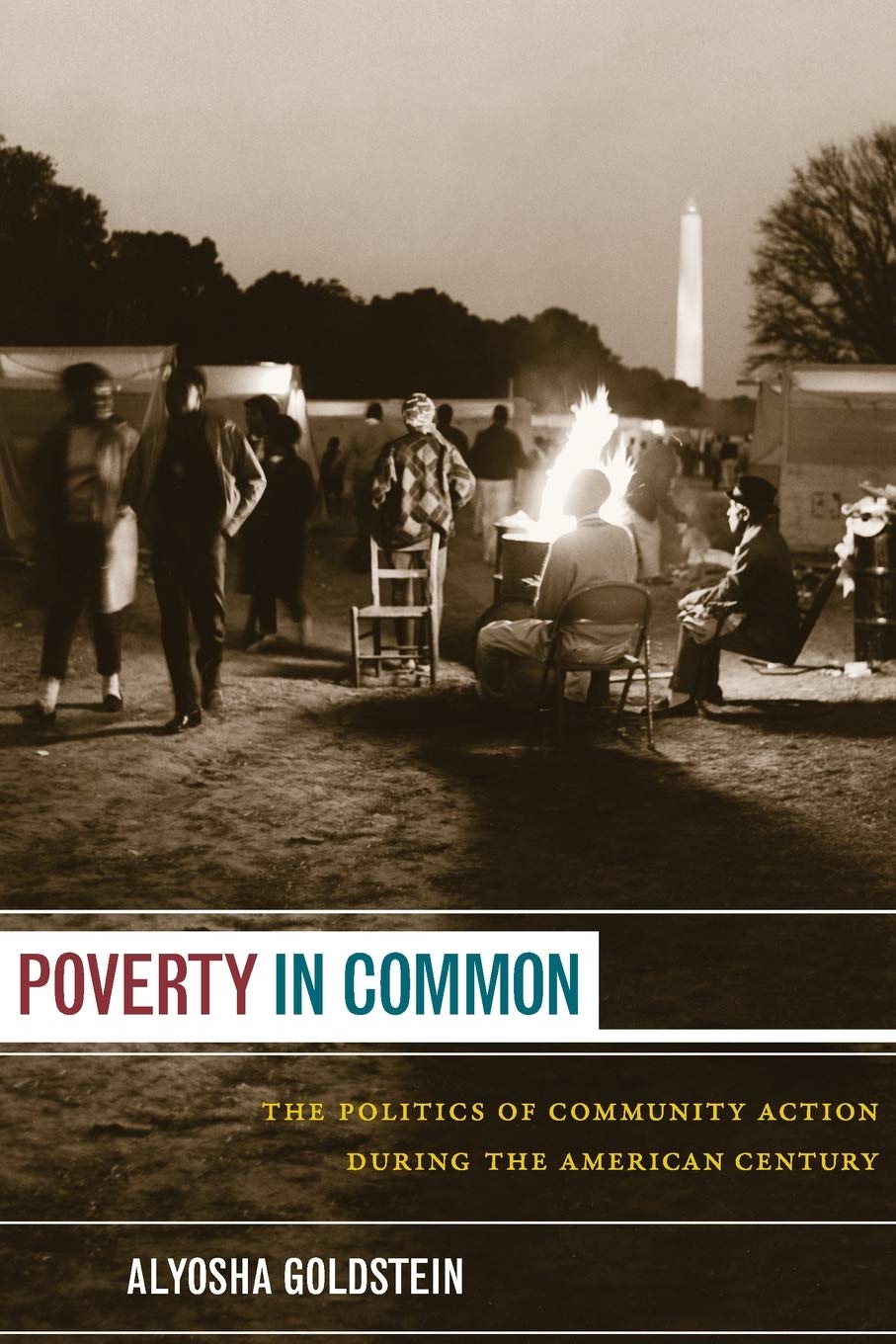 Poverty in Common: The Politics of Community Action During the American Century