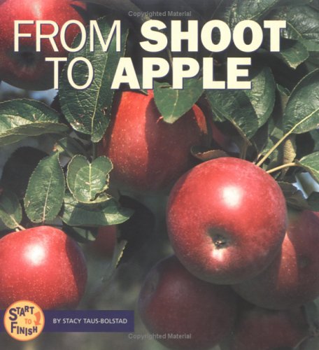 From Shoot to Apple (Start to Finish) - 8735