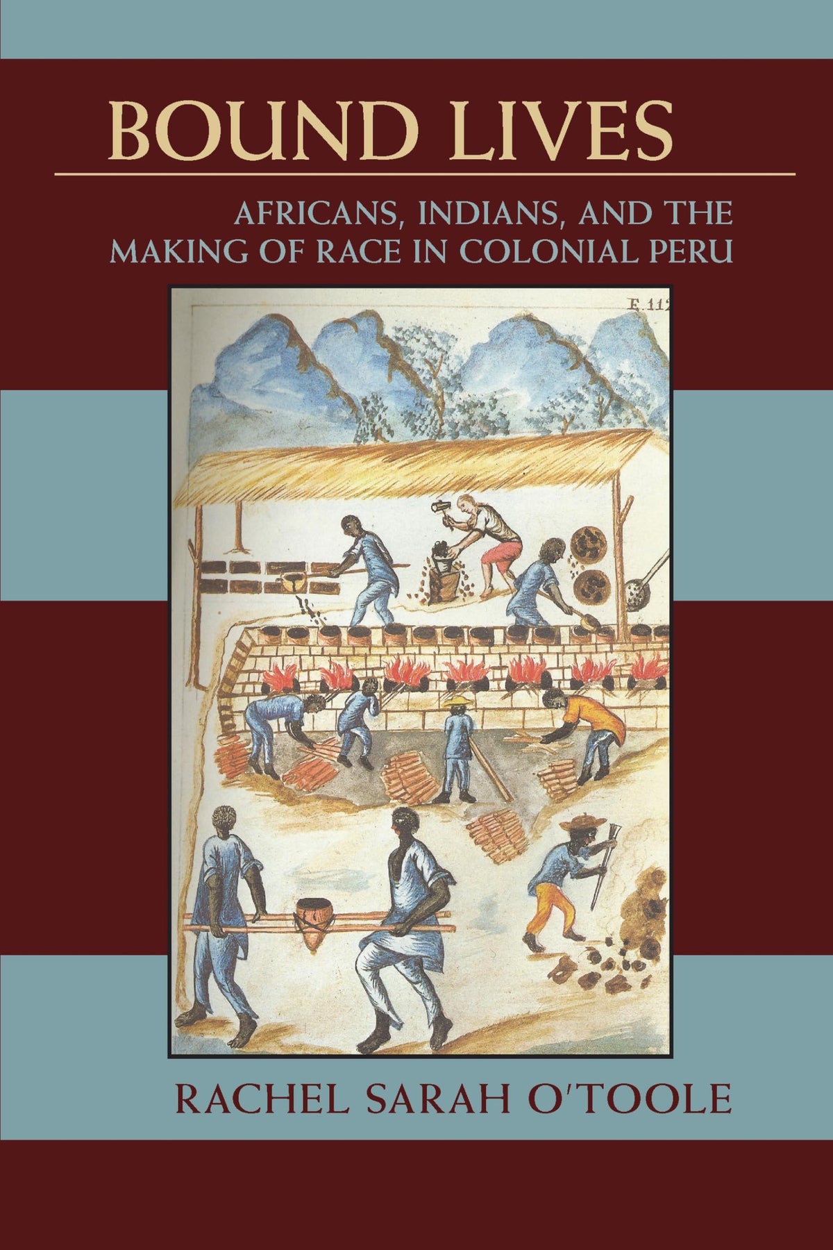 Bound Lives: Africans, Indians, and the Making of Race in Colonial Peru (Pitt Latin American Series, 349)