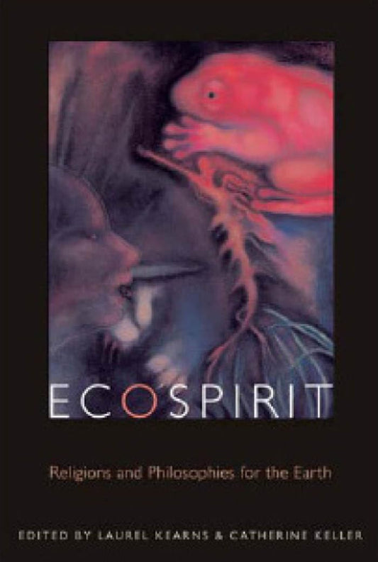 Ecospirit: Religions and Philosophies for the Earth (Transdisciplinary Theological Colloquia) - 8405