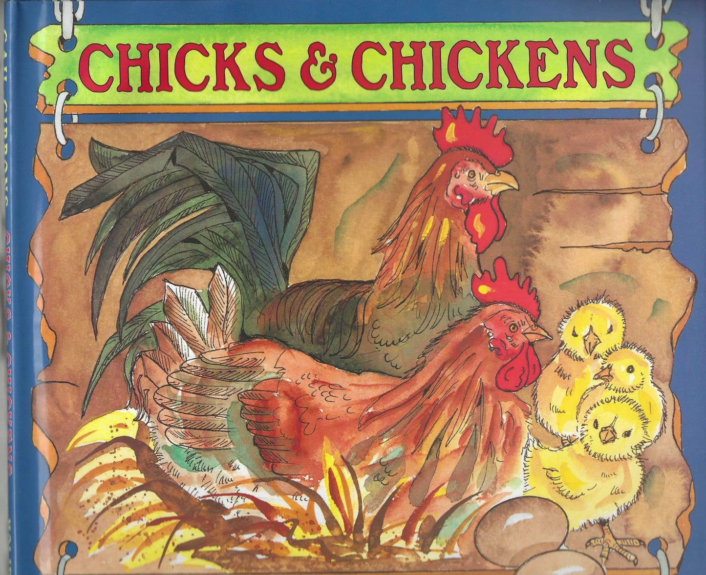 Chicks & Chickens - 5557