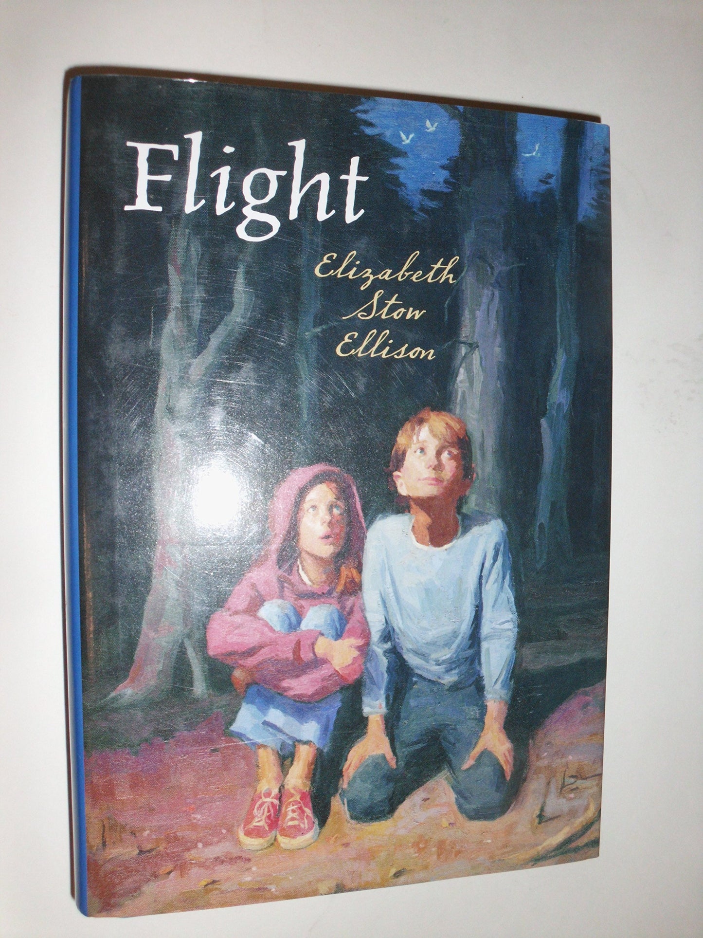 Flight