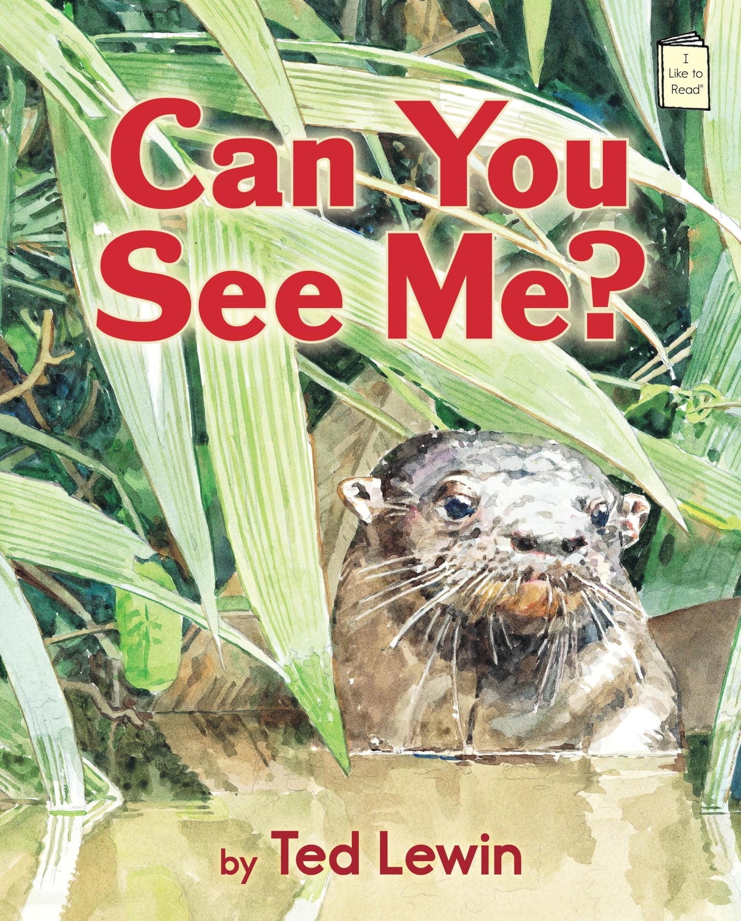 Can You See Me? (I Like to Read)