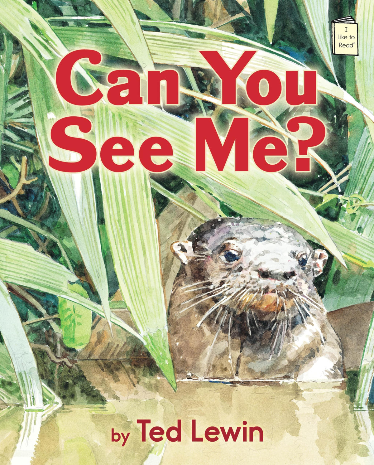 Can You See Me? (I Like to Read)
