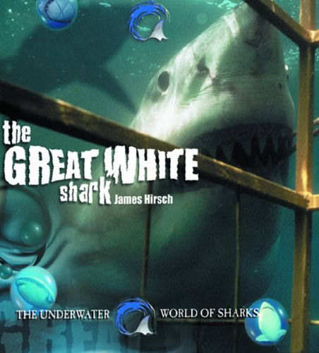 The Great White Shark (Underwater World of Sharks) - 8749