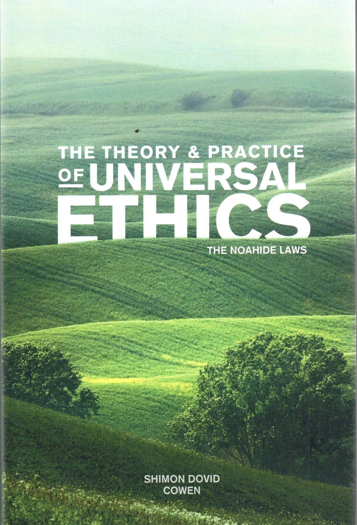 The Theory and Practice of Universal Ethics: The Noahide Laws