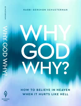 "Why God Why? How to Believe In Heaven When It Hurts Like Hell"