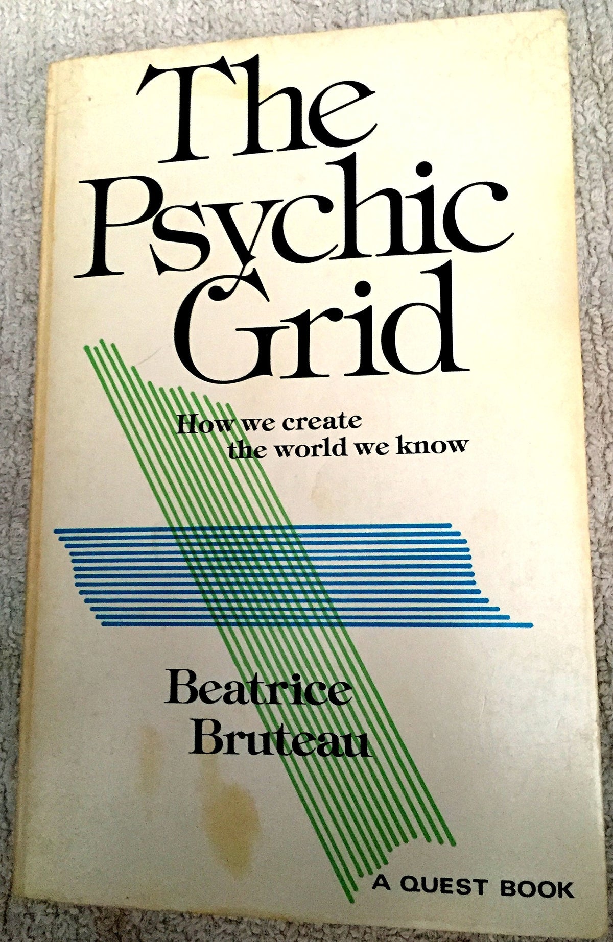 The psychic grid: How we create the world we know (A Quest book)