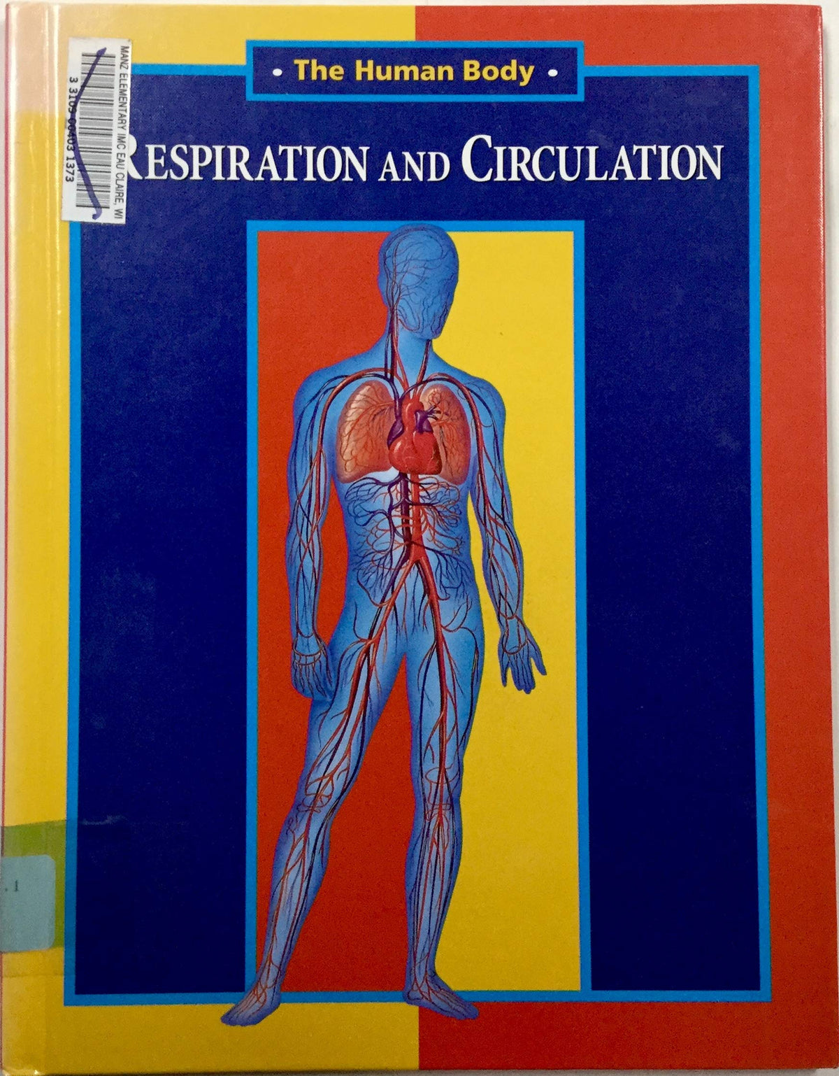 Respiration and Circulation (Human Body)