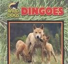 Dingoes (Wild Dogs)