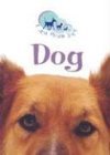 Dog (I Am Your Pet) - 4632