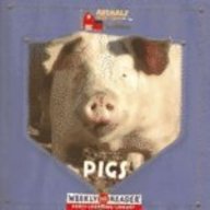 Pigs (Animals That Live on the Farm)