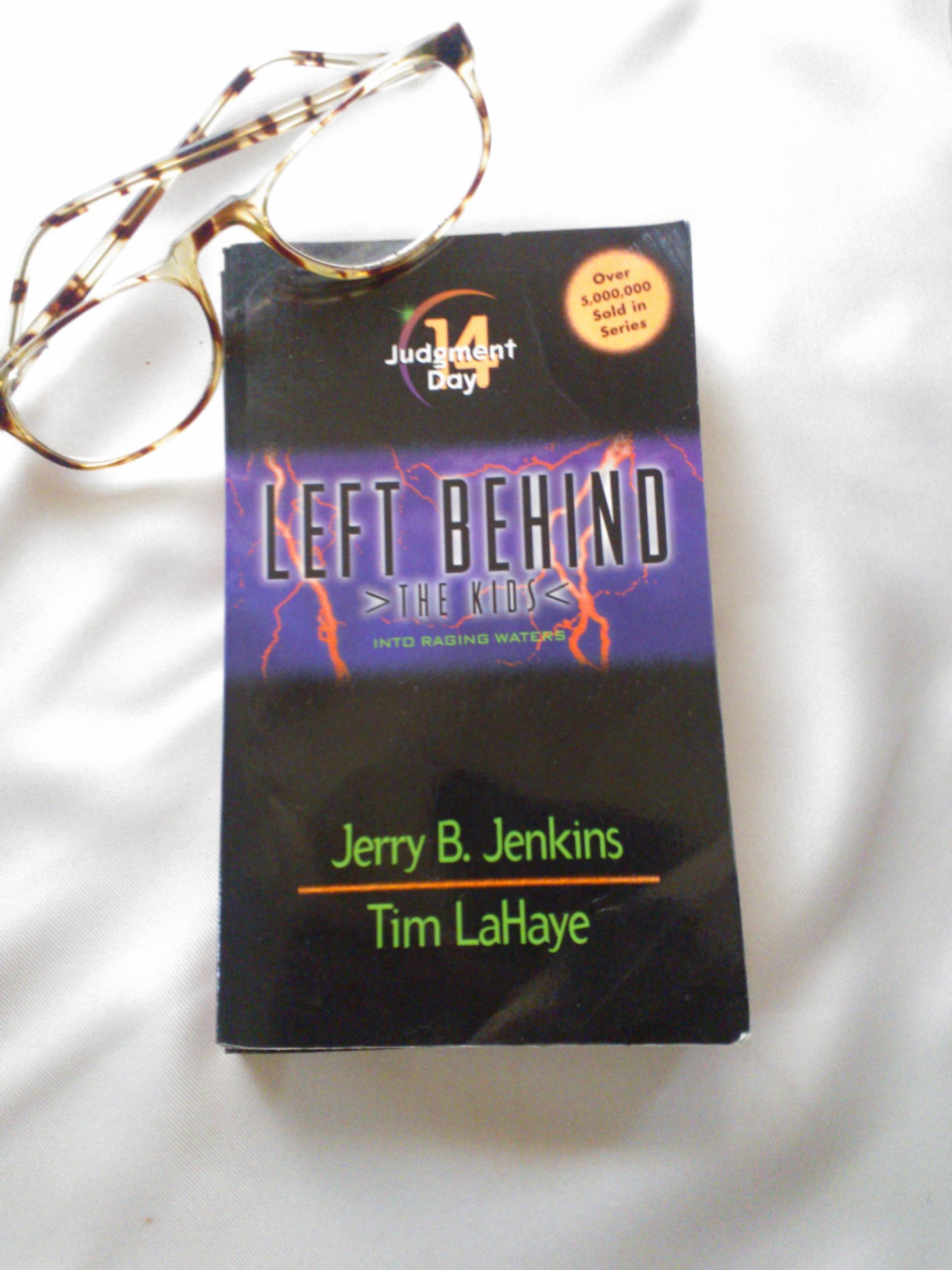 Judgment Day (Left Behind: The Kids #14)