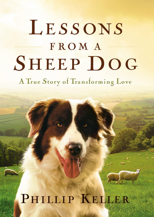 Lessons from a Sheep Dog: A True Story of Transforming Love - 6501