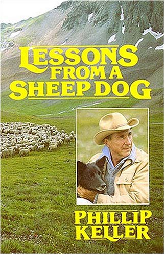 Lessons from a Sheep Dog