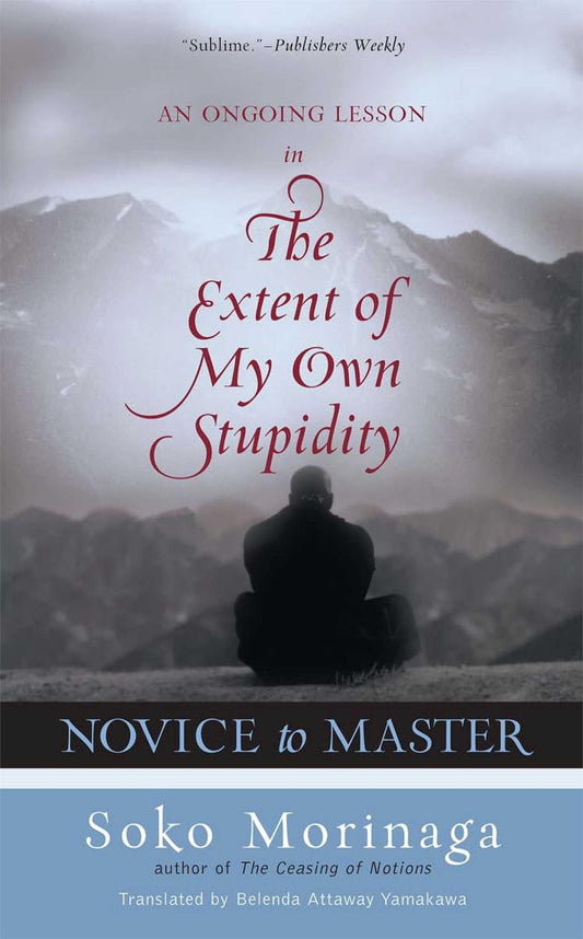 Novice to Master: An Ongoing Lesson in the Extent of My Own Stupidity - 9393