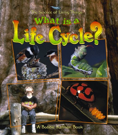 What Is a Life Cycle? (Science of Living Things) - 8106