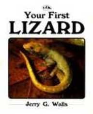 Your First Lizard (Your First Series)