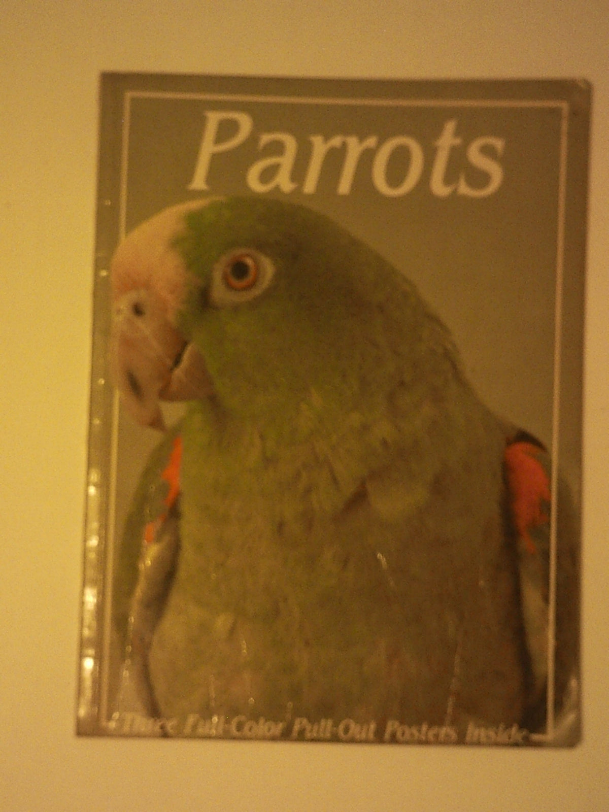 Parrots