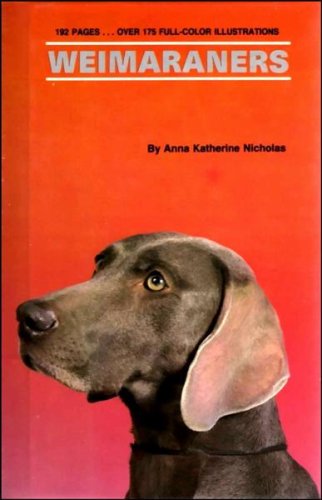 Weimaraner - 138
