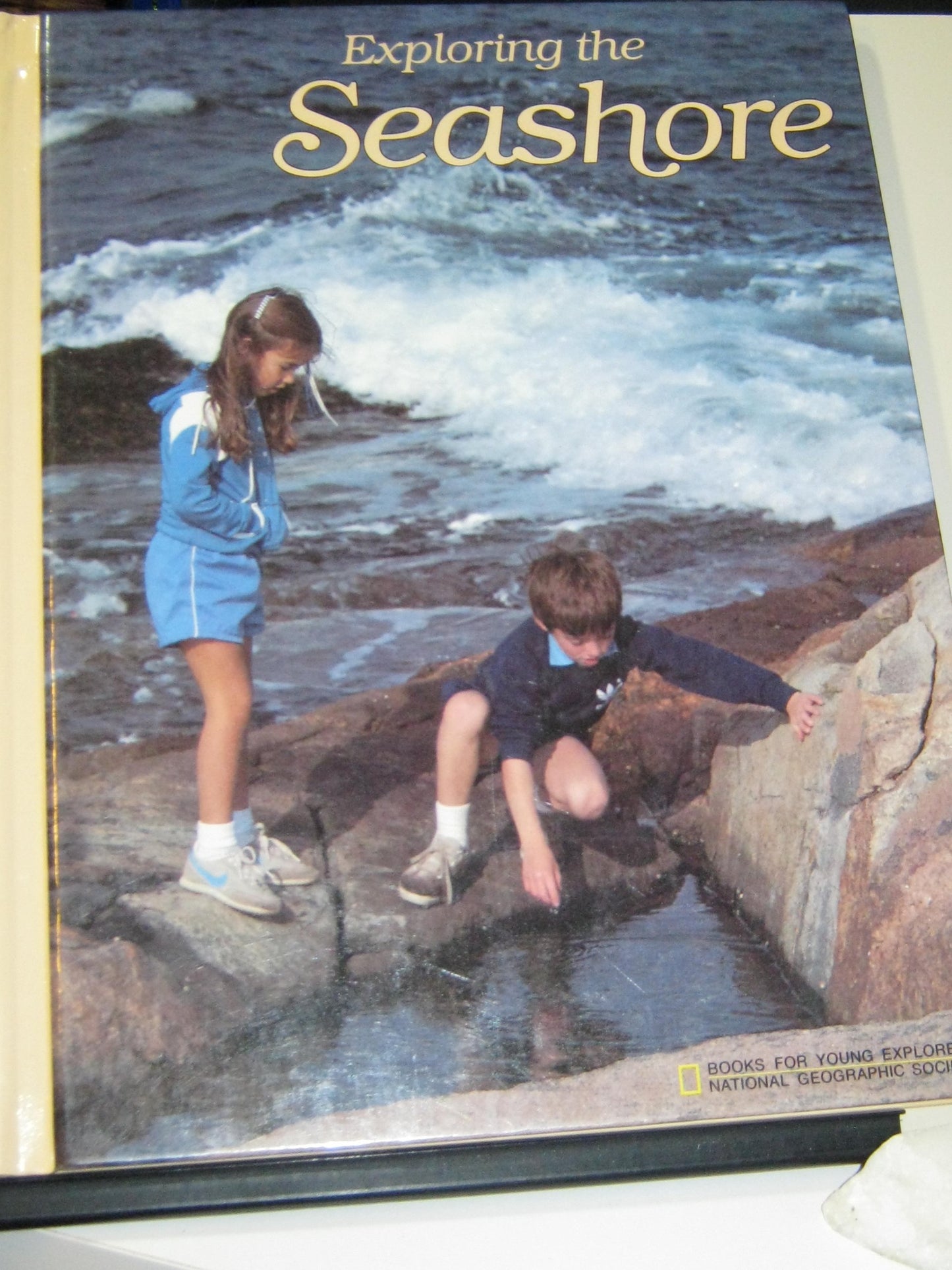 Exploring the Seashore